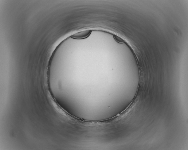 X0000113121534200909181638