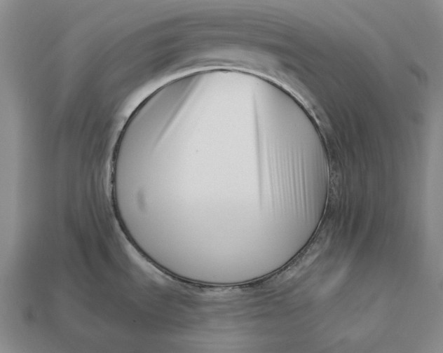 X0000113121535200909181638