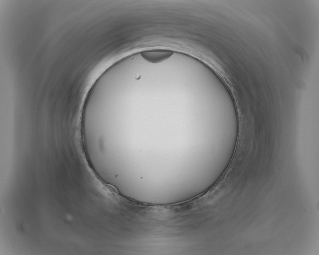 X0000113121536200909181638