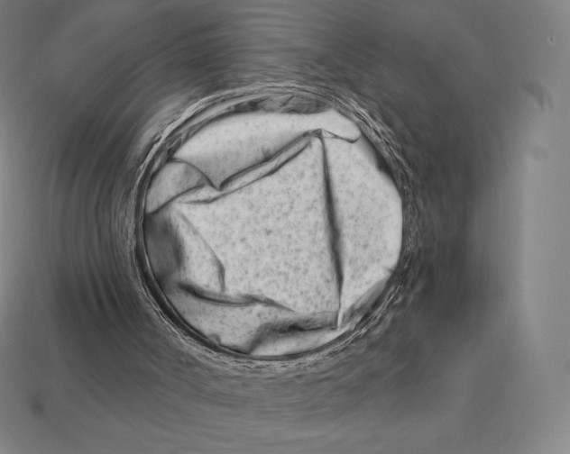 X0000113120002200909251122
