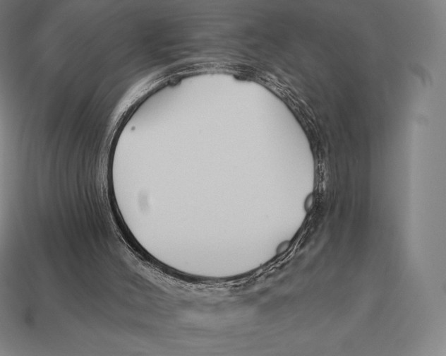 X0000113120004200909251122