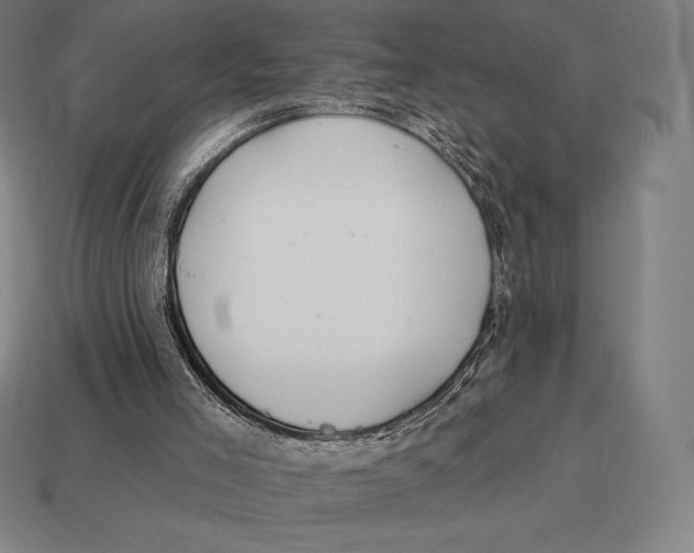 X0000113120005200909251122