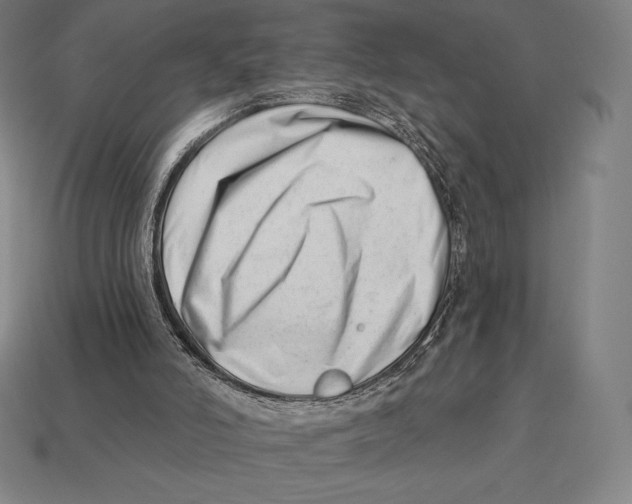 X0000113120006200909251122