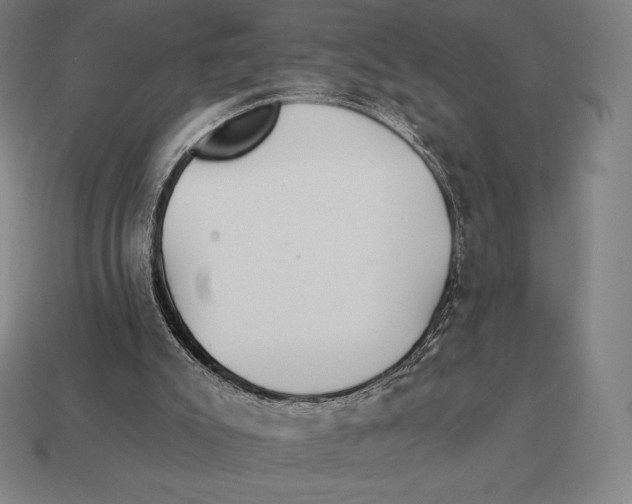 X0000113120007200909251122