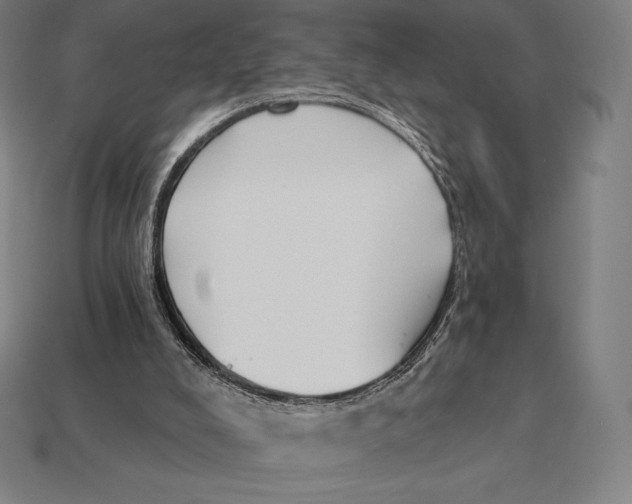 X0000113120008200909251122