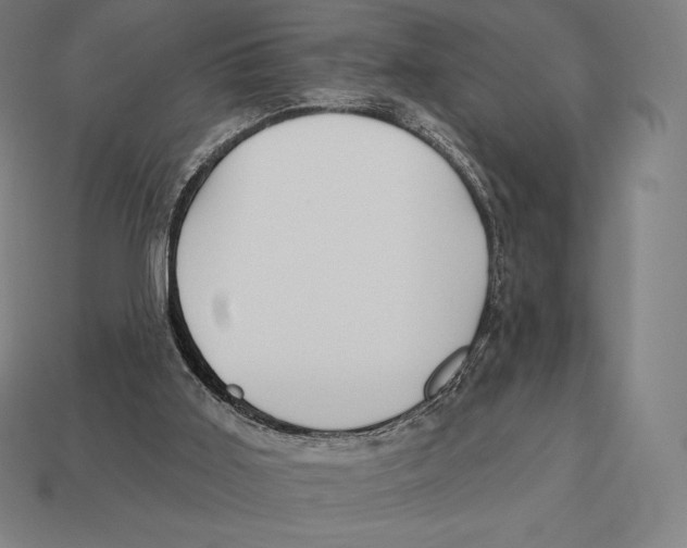 X0000113120011200909251122