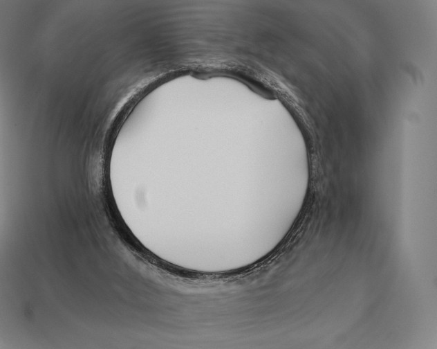X0000113120012200909251122