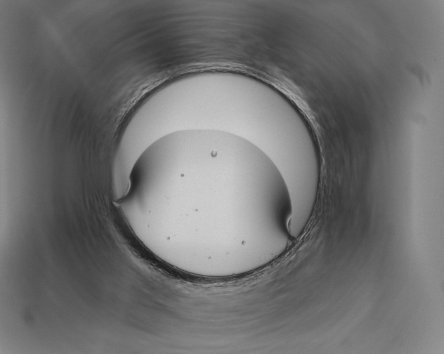 X0000113120013200909251122