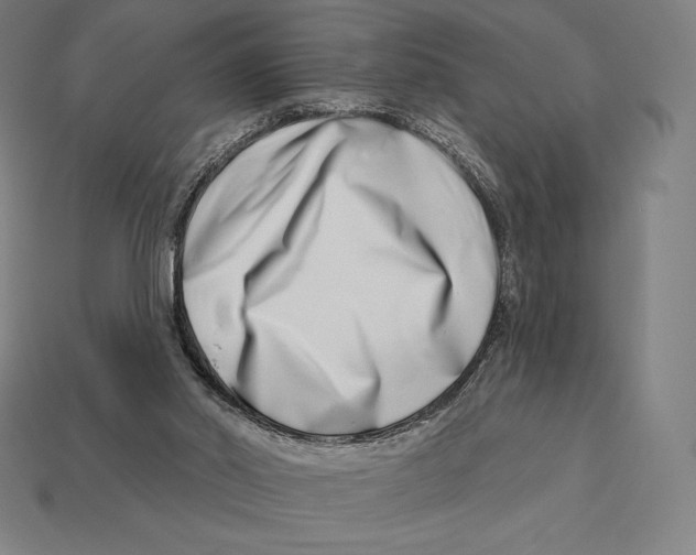 X0000113120014200909251122