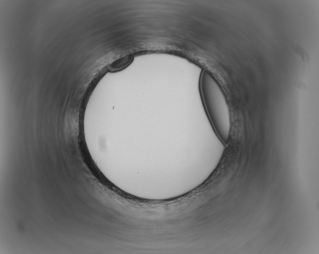 X0000113120015200909251122