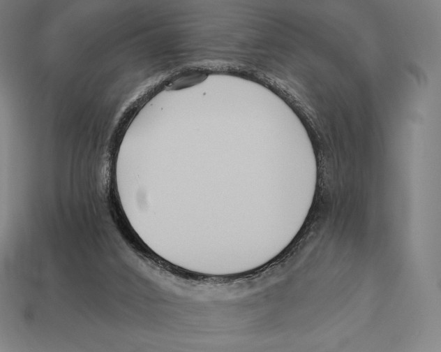 X0000113120016200909251122