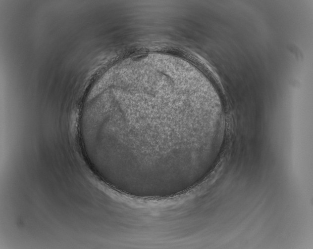 X0000113120018200909251122