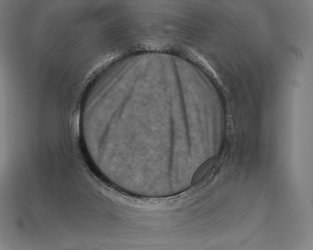 X0000113120019200909251122