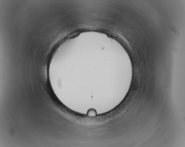 X0000113120020200909251122