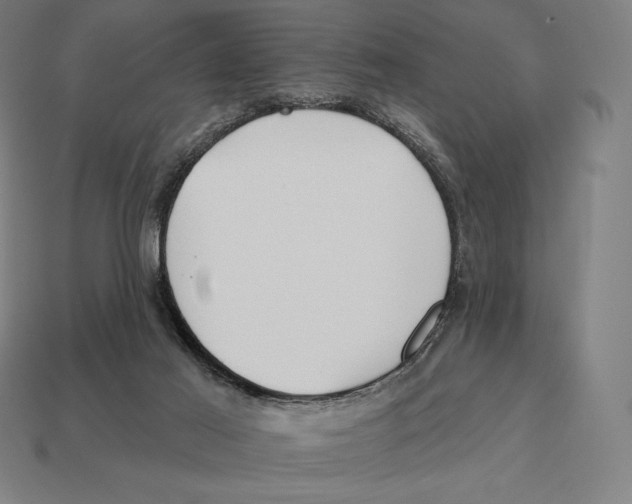 X0000113120021200909251122