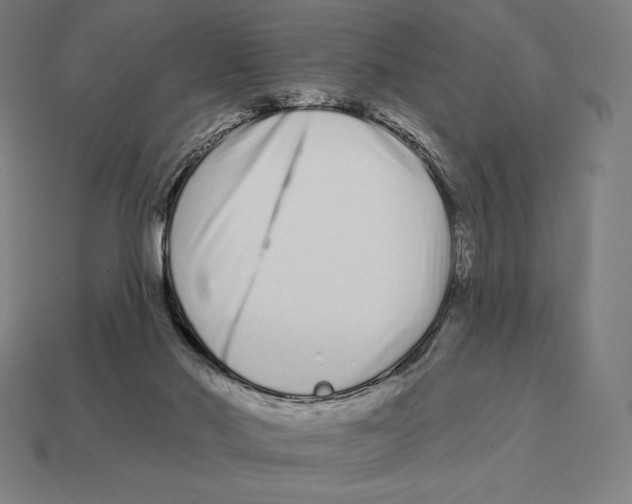 X0000113120022200909251122