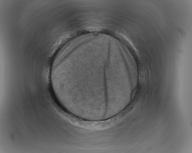 X0000113120023200909251122