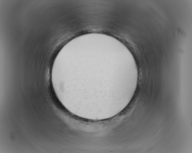 X0000113120024200909251122