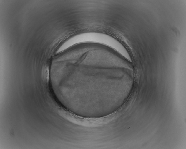 X0000113120027200909251122