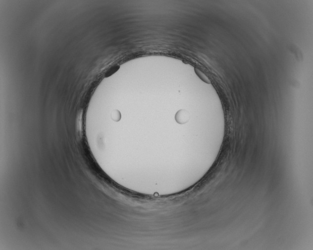 X0000113120028200909251122