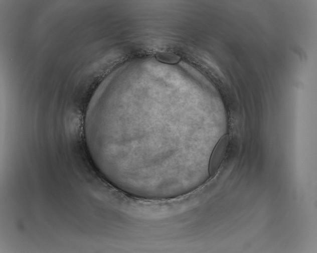 X0000113120029200909251122