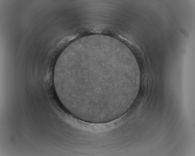 X0000113120031200909251122