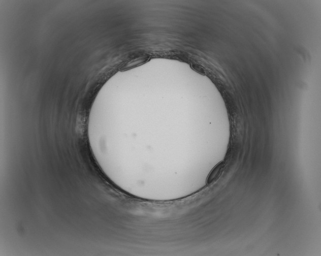 X0000113120033200909251122