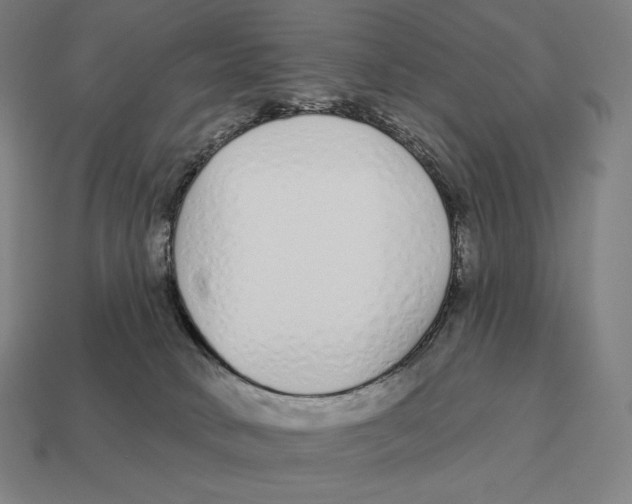 X0000113120034200909251122