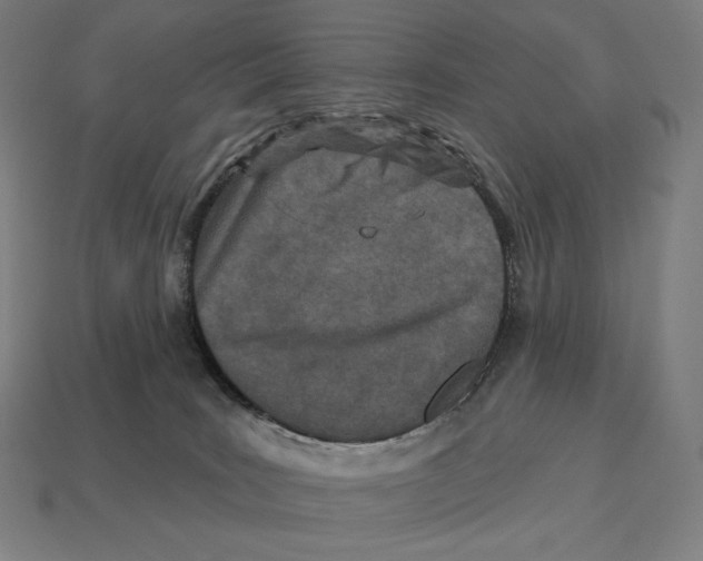 X0000113120035200909251122