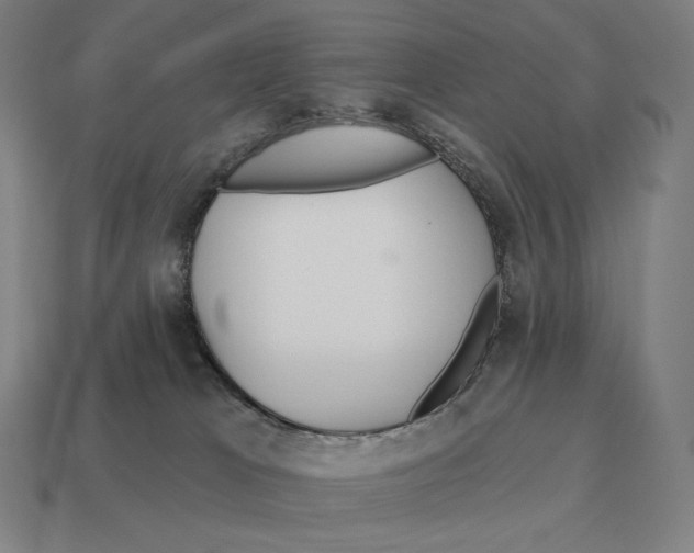 X0000113120037200909251122