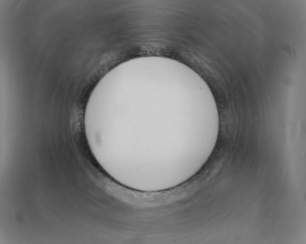 X0000113120038200909251122