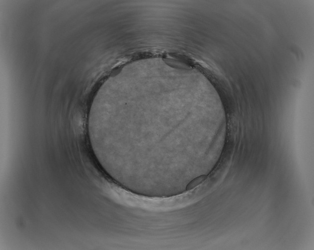X0000113120039200909251122