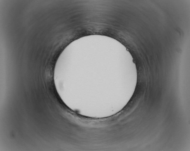 X0000113120040200909251122