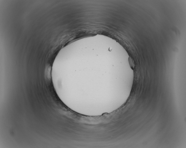 X0000113120041200909251122
