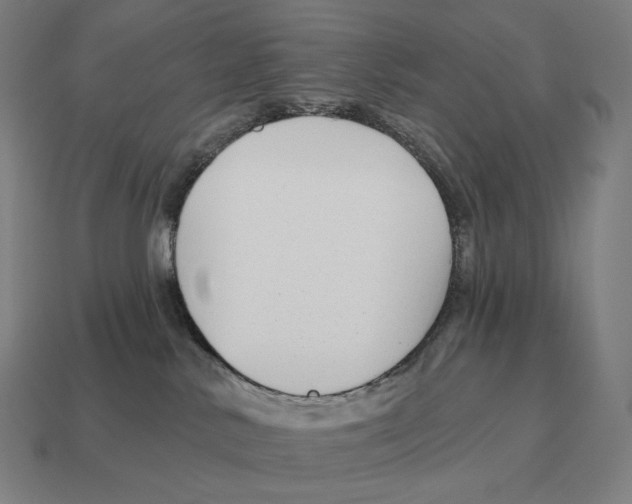 X0000113120042200909251122