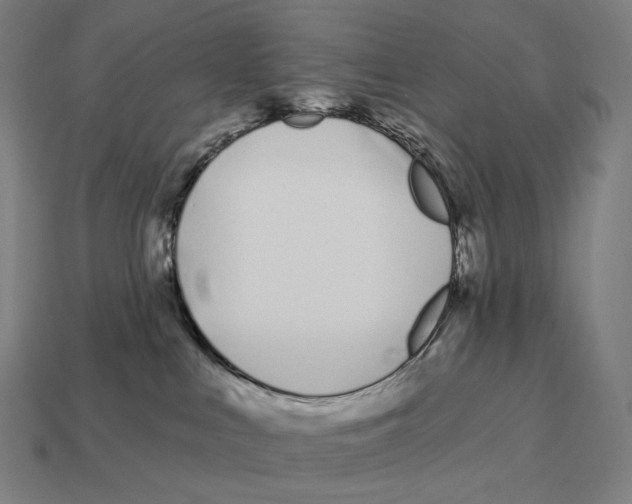 X0000113120043200909251122