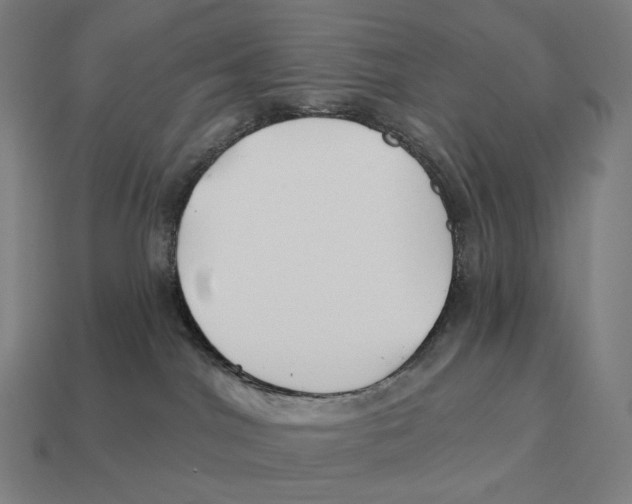 X0000113120044200909251122