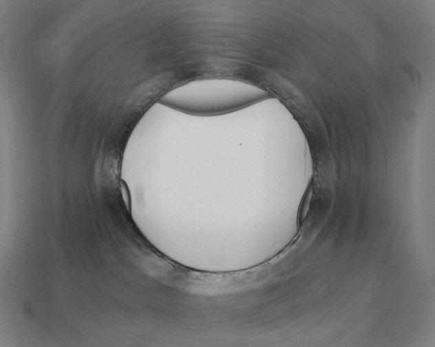 X0000113120045200909251122