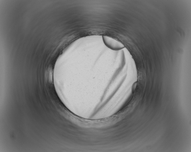X0000113120046200909251122