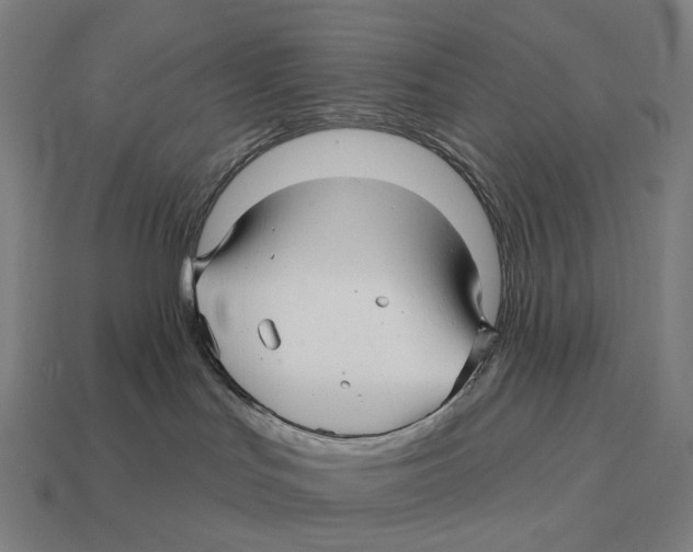 X0000113120047200909251122