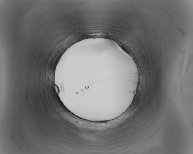 X0000113120048200909251122
