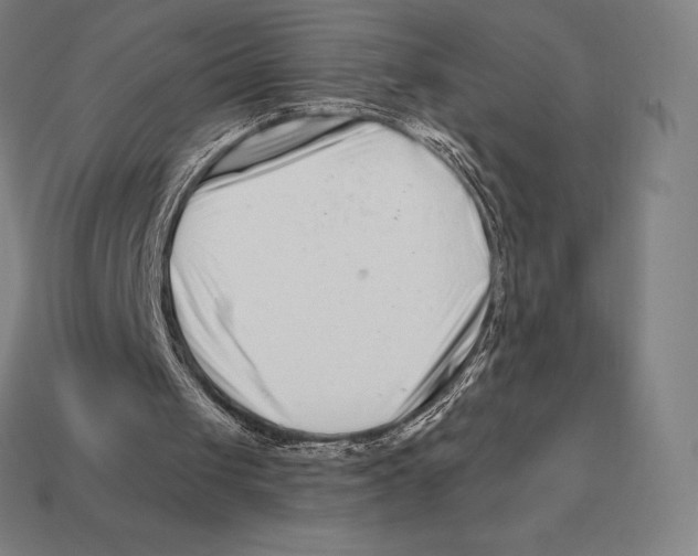 X0000113120049200909251121