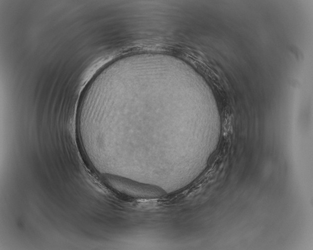 X0000113120052200909251121