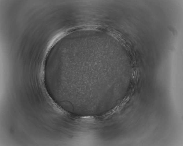 X0000113120053200909251121
