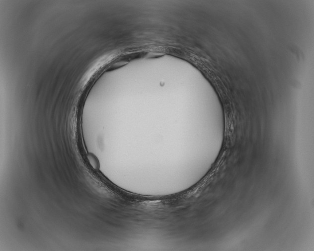 X0000113120054200909251121