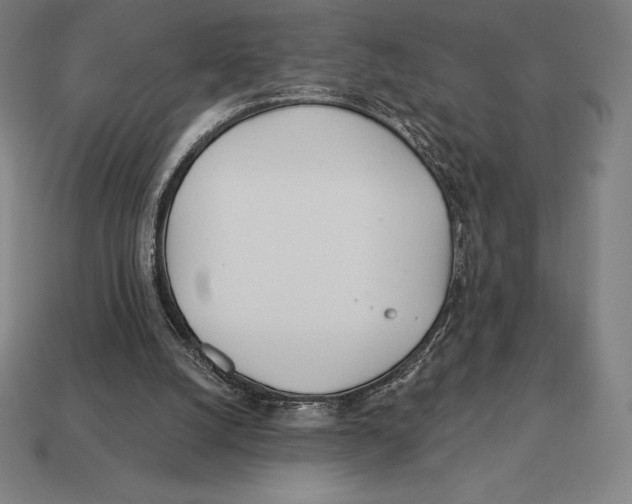 X0000113120056200909251121