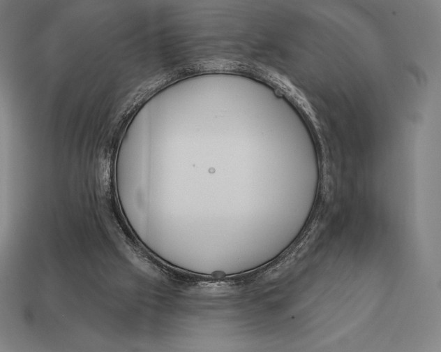 X0000113120057200909251121