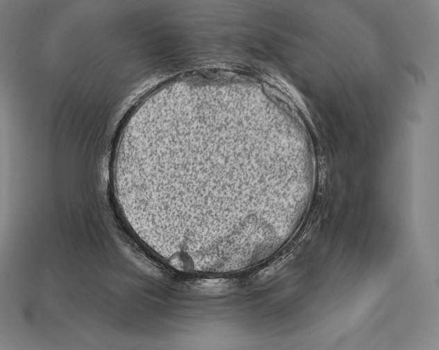 X0000113120059200909251121