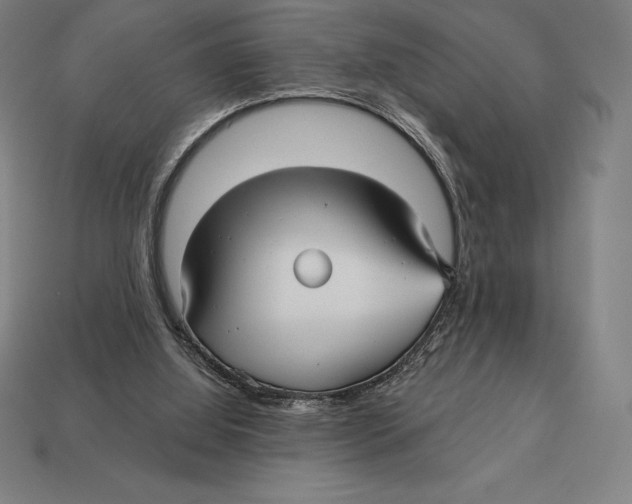 X0000113120060200909251121