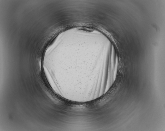 X0000113120061200909251121
